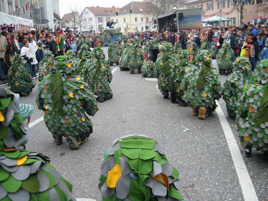 ../Images/2005-01-16_Narrenverein in Gottmadingen_021.jpg